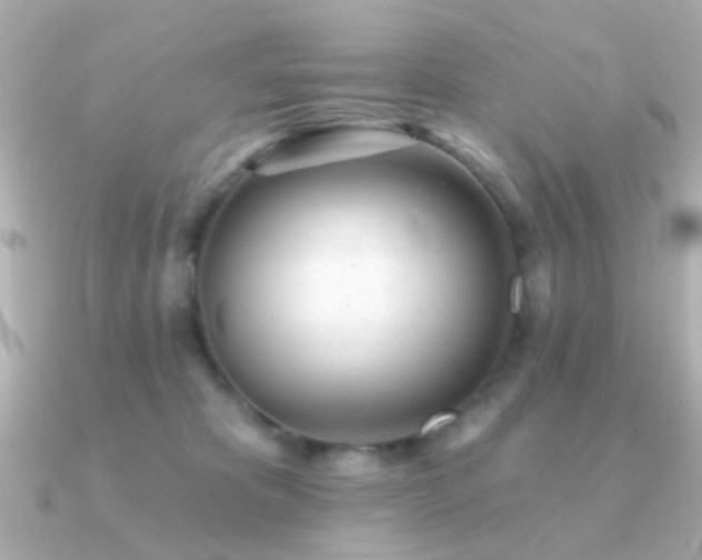 X0000091310325200708101508