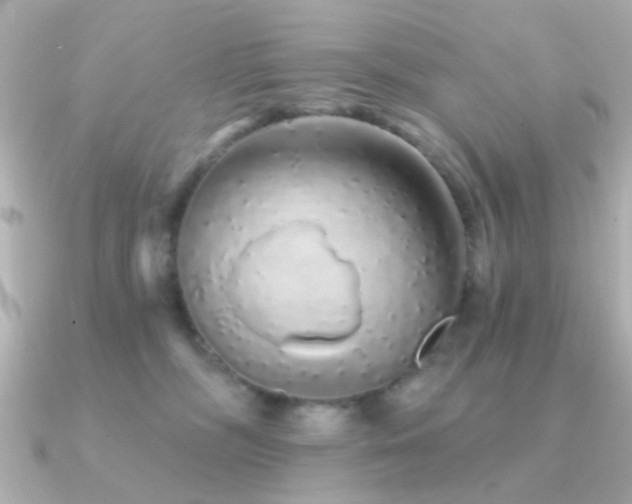 X0000091310326200708101508