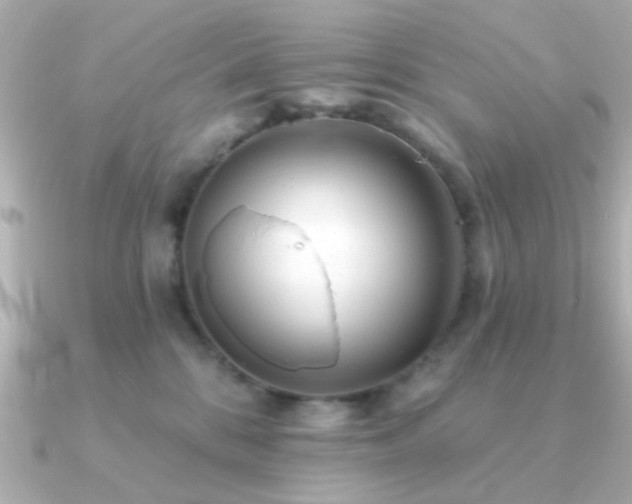 X0000091310328200708101508