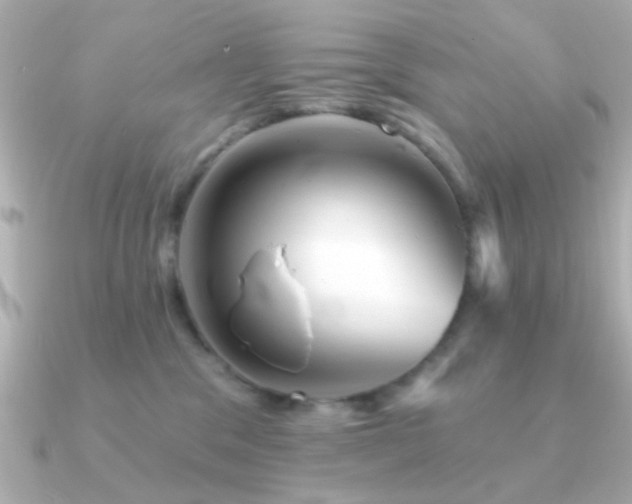 X0000091310329200708101508