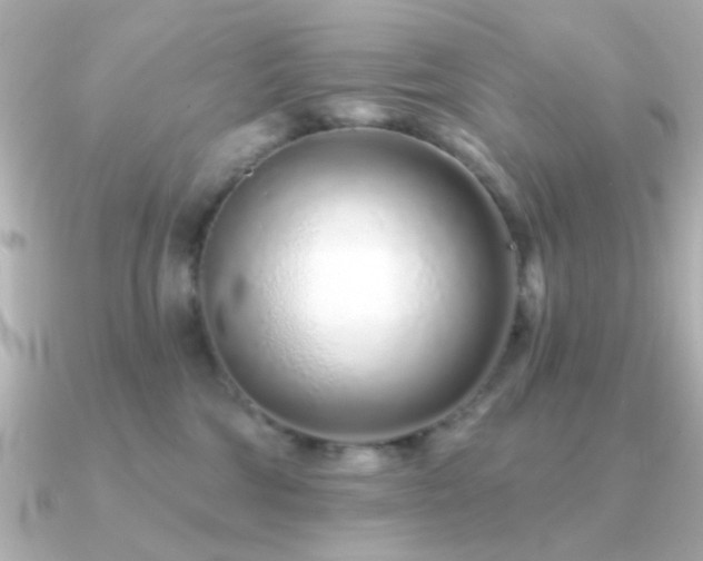 X0000091310330200708101508