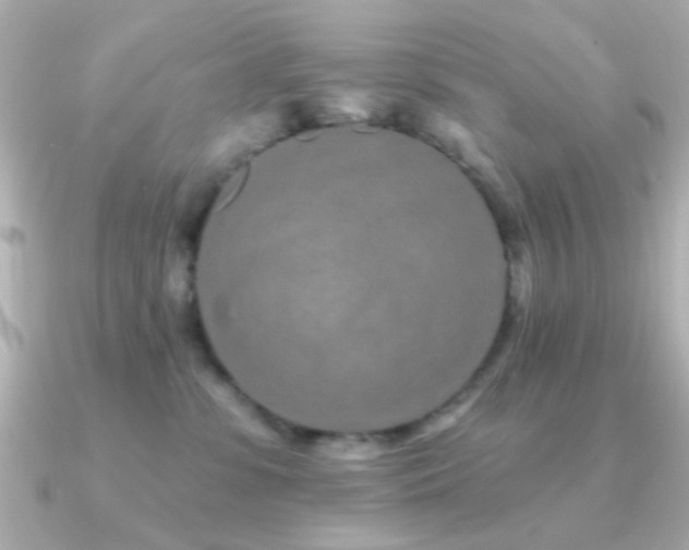 X0000091310331200708101508