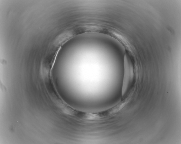 X0000091310333200708101508