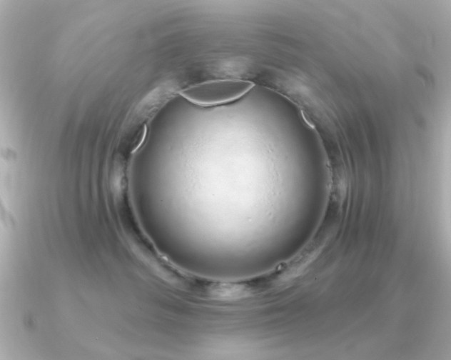 X0000091310334200708101508