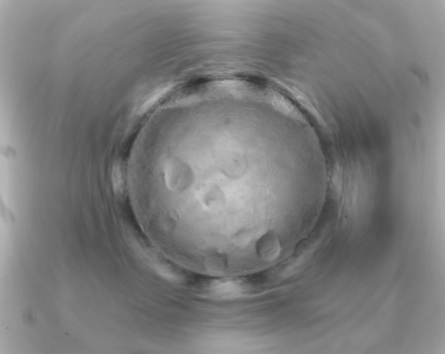 X0000091310335200708101508