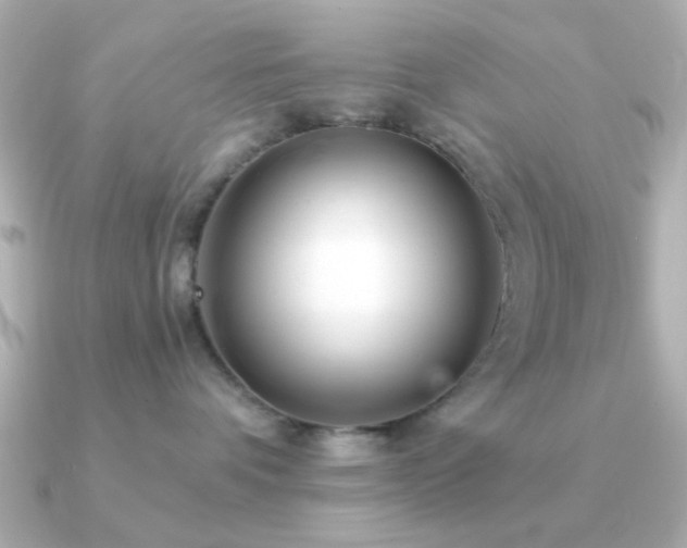 X0000091310336200708101508