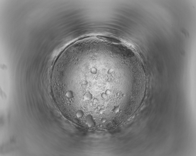 X0000091310337200708101507