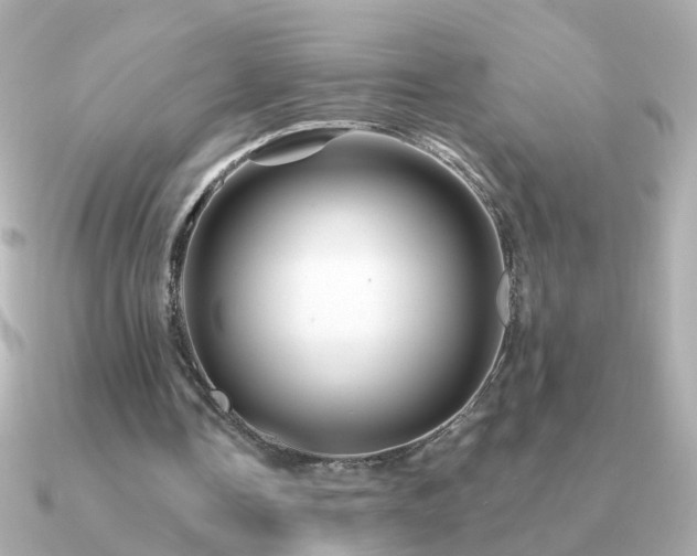 X0000091310338200708101507