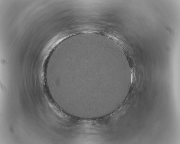 X0000091310339200708101507