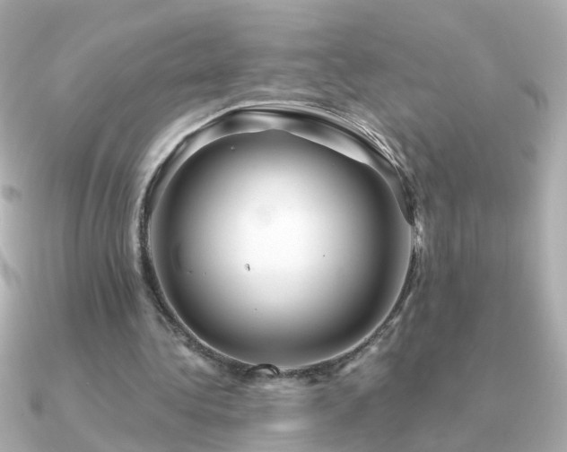 X0000091310340200708101507