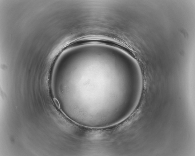 X0000091310341200708101507