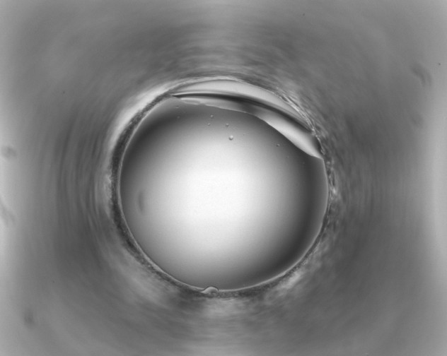 X0000091310342200708101507