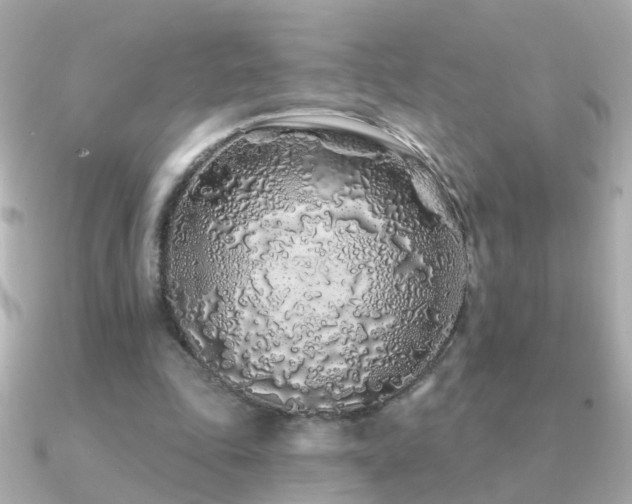 X0000091310343200708101507