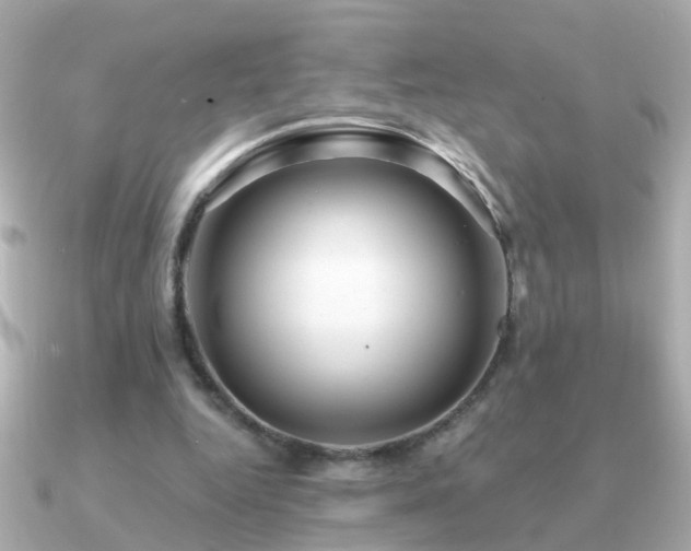 X0000091310344200708101507