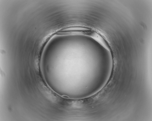 X0000091310345200708101507