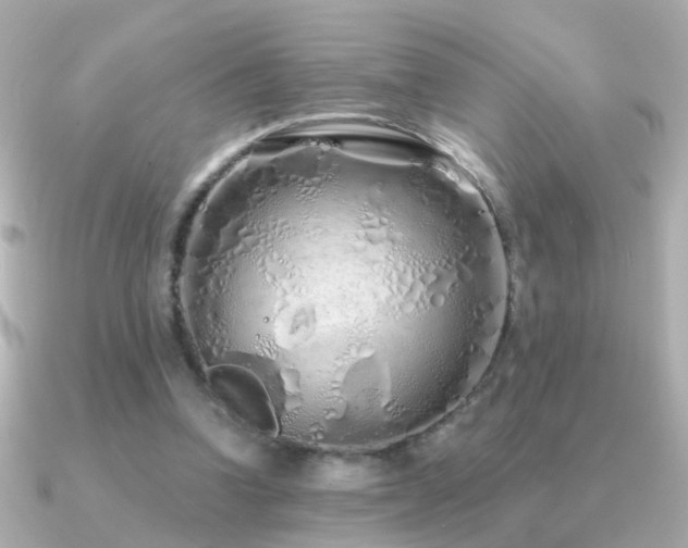 X0000091310346200708101507