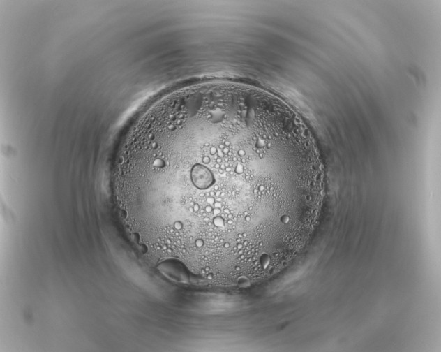 X0000091310347200708101507