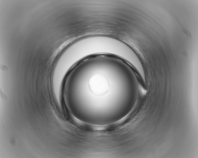 X0000091310348200708101507