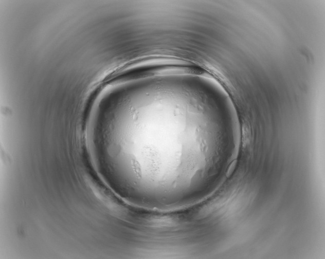 X0000091310349200708101507