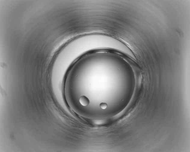 X0000091310350200708101507