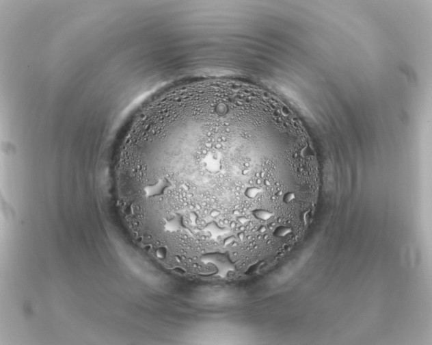 X0000091310351200708101507