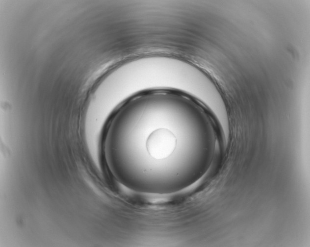 X0000091310352200708101507