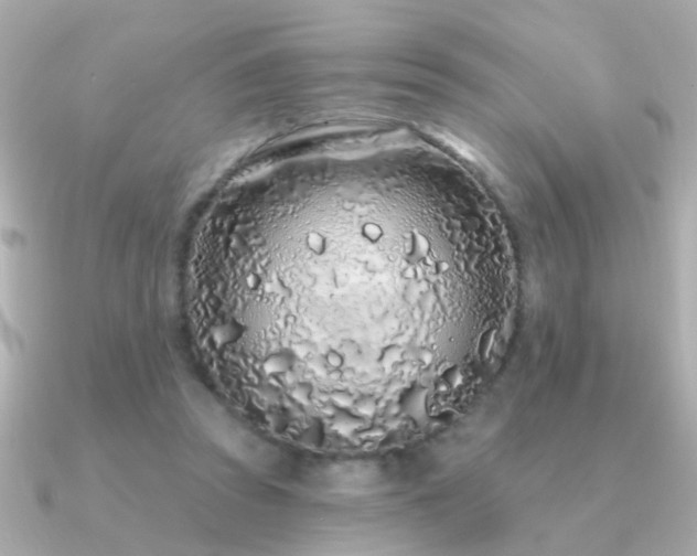 X0000091310353200708101507