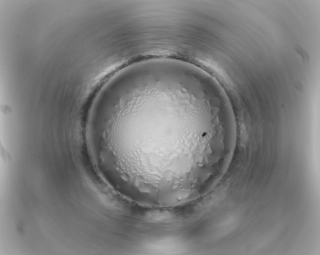 X0000091310354200708101507