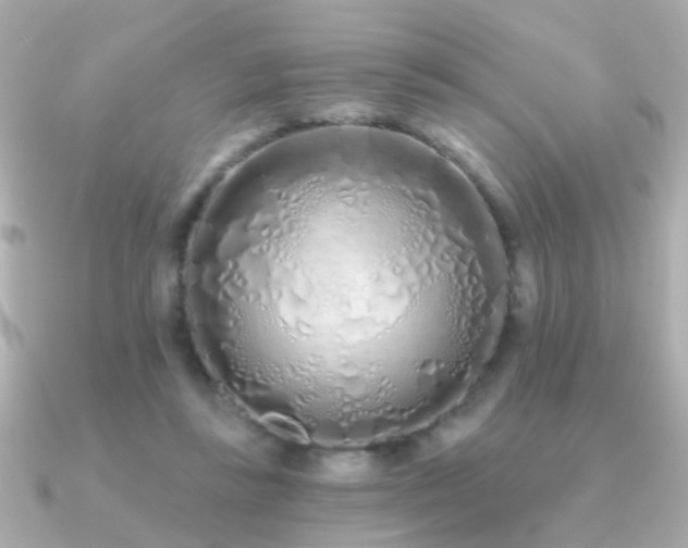 X0000091310355200708101507