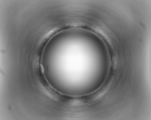 X0000091310356200708101507