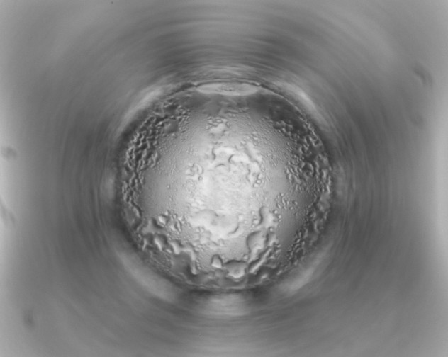 X0000091310357200708101507