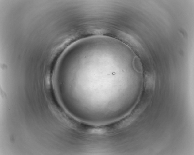 X0000091310358200708101507