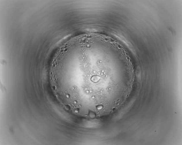 X0000091310359200708101507