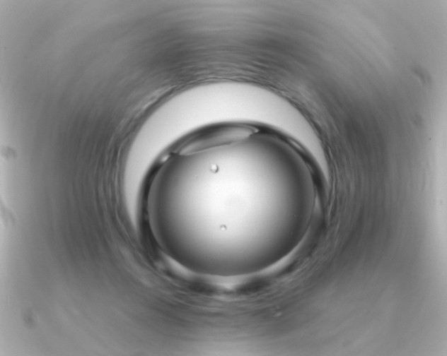 X0000091310360200708101507