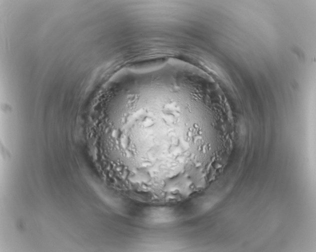 X0000091310361200708101507