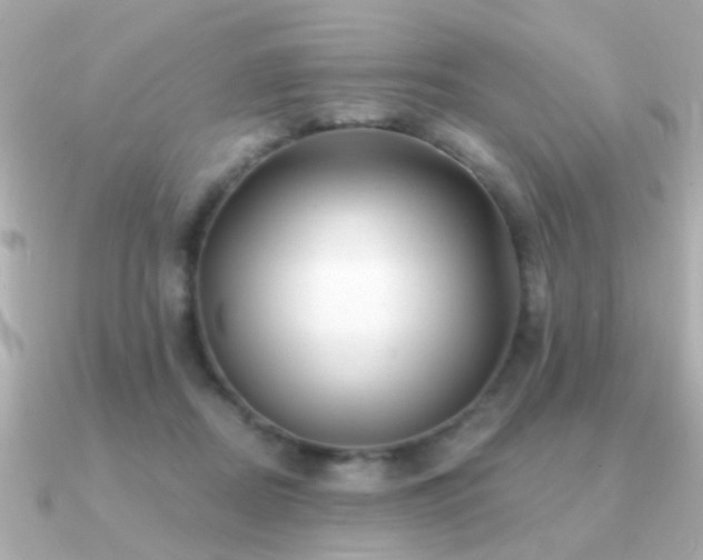 X0000091310362200708101507