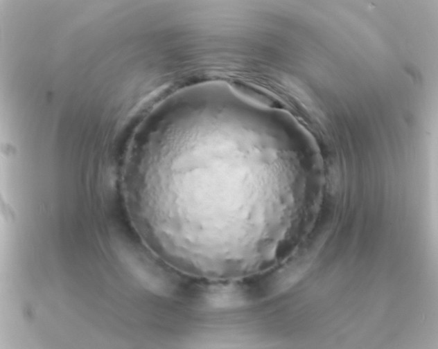 X0000091310363200708101507