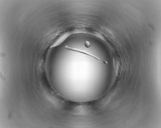 X0000091310364200708101507