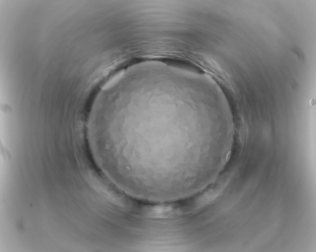 X0000091310366200708101507