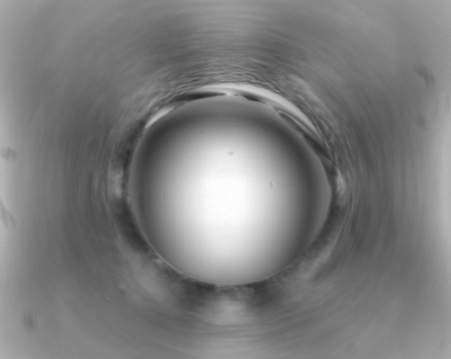 X0000091310368200708101507