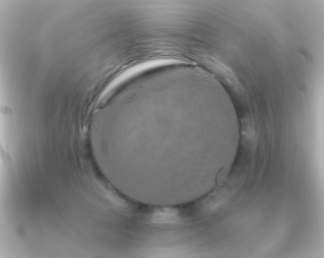 X0000091310369200708101507