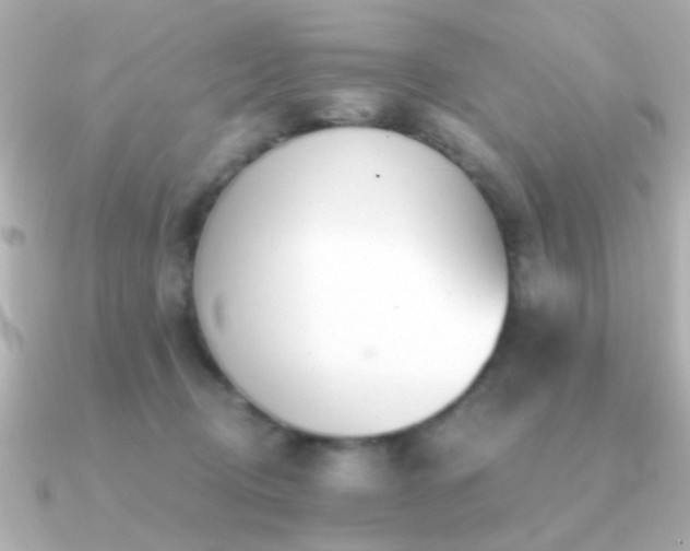 X0000091310370200708101507