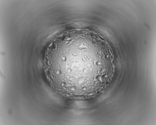 X0000091310371200708101507