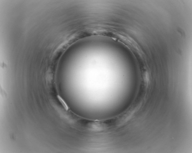 X0000091310372200708101508