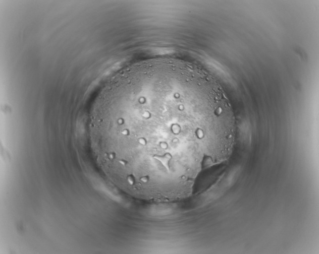 X0000091310373200708101508