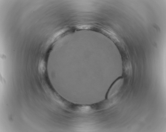 X0000091310374200708101508