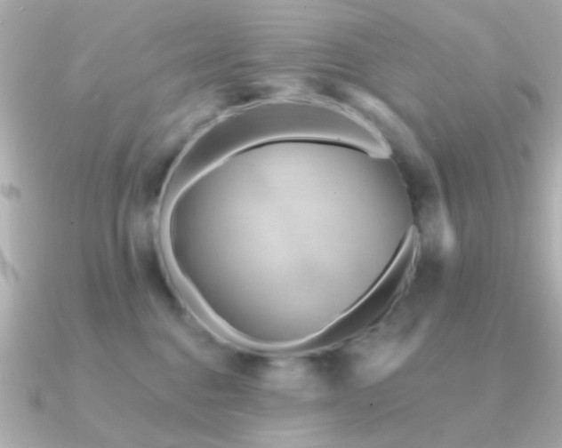 X0000091310376200708101508