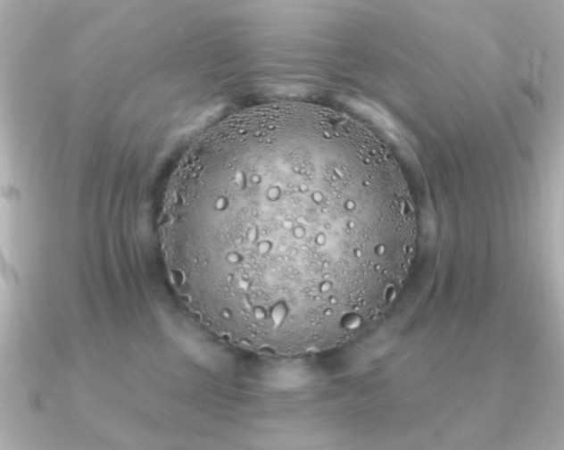 X0000091310377200708101508