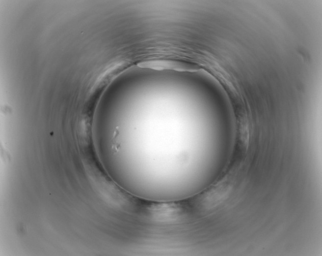 X0000091310378200708101508