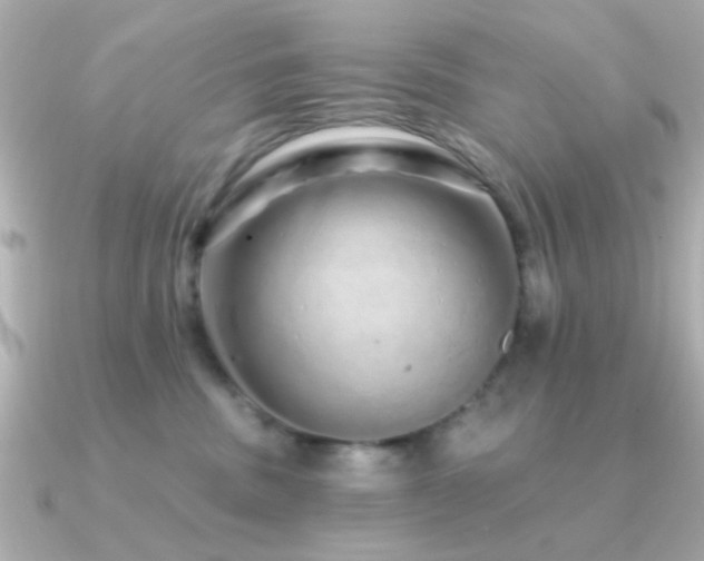 X0000091310379200708101508